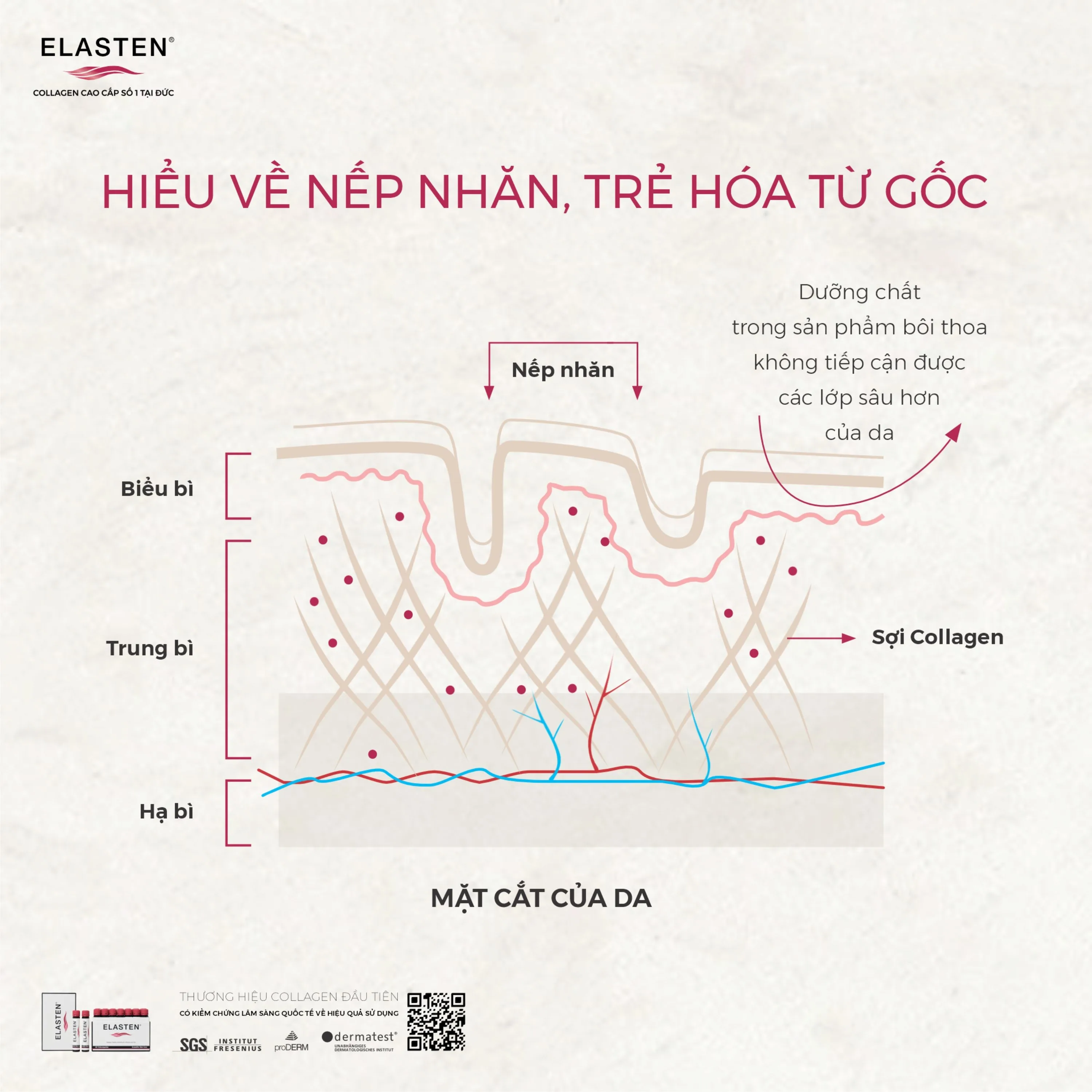 Hình ảnh Nước uống bổ sung Collagen-Peptide, giúp giảm lão hóa da, tăng độ đàn hồi và giữ ẩm cho da, giúp da sáng mịn Elasten (28+2 ống x 25ml)