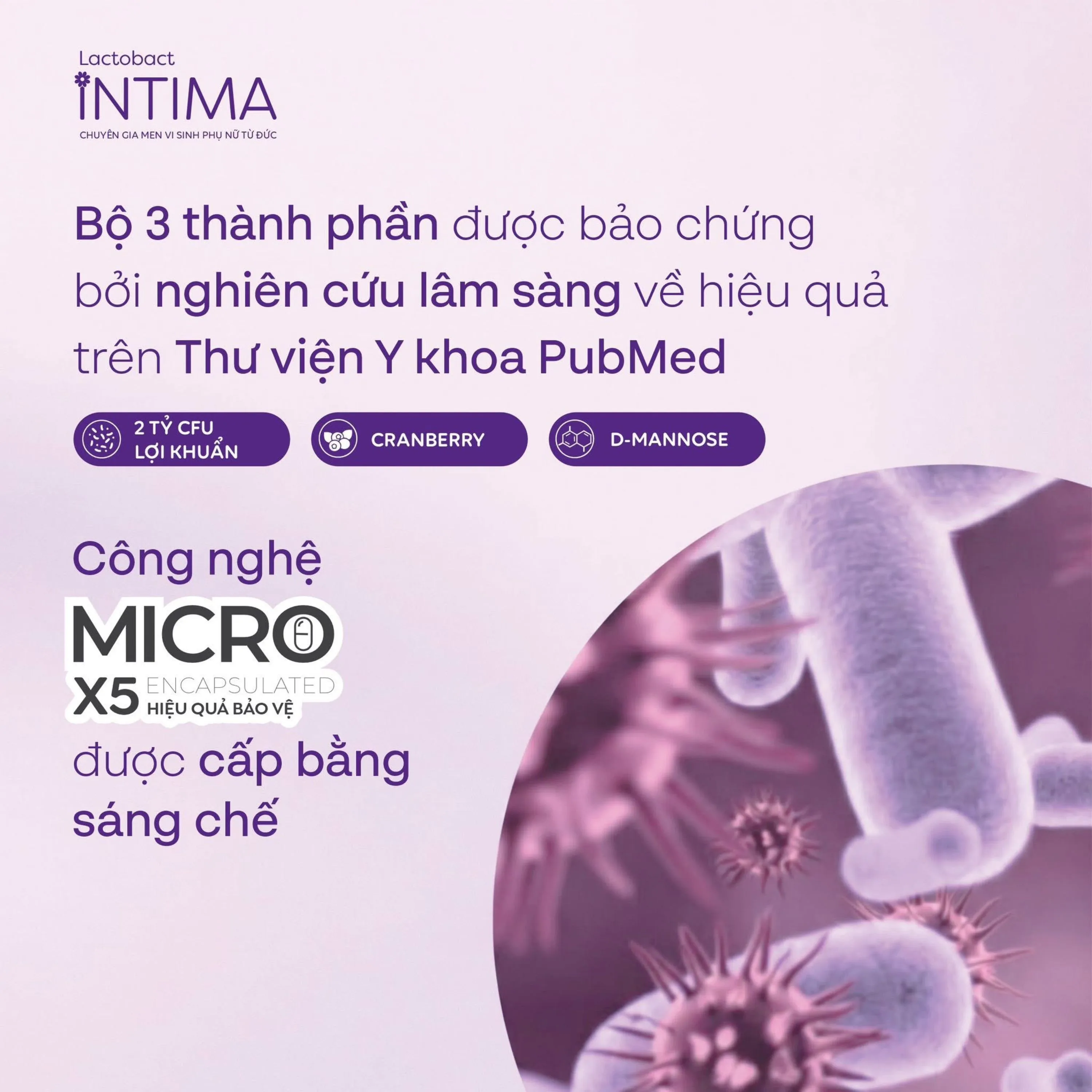 Hình ảnh Viên uống bổ sung lợi khuẩn, D-mannose, việt quất cho phụ nữ Lactobact Intima (60 viên)