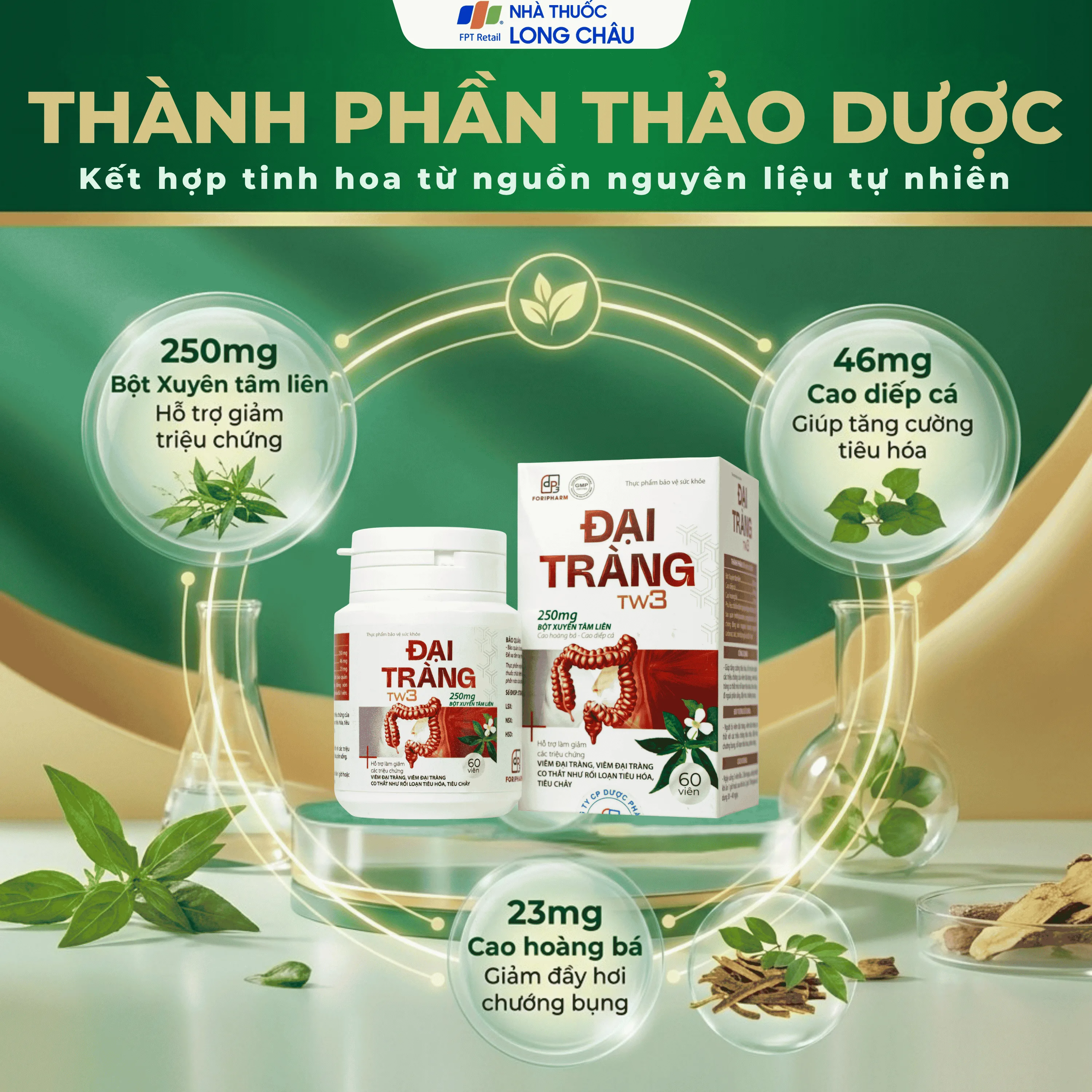 Hình ảnh Viên uống hỗ trợ làm giảm các triệu chứng viêm đại tràng, tăng cường tiêu hoá Đại Tràng Tw3 Foripharm (Hộp 60 viên)