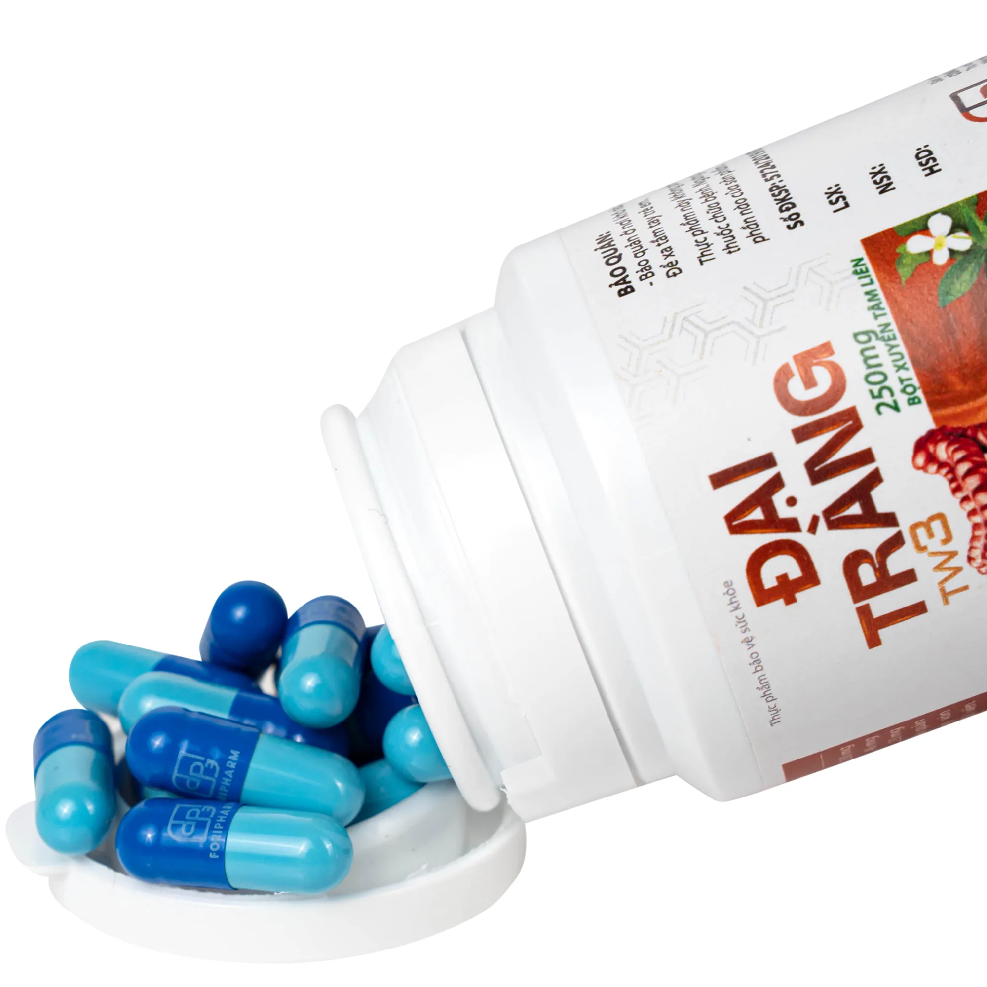 Hình ảnh Viên uống hỗ trợ làm giảm các triệu chứng viêm đại tràng, tăng cường tiêu hoá Đại Tràng Tw3 Foripharm (Hộp 60 viên)