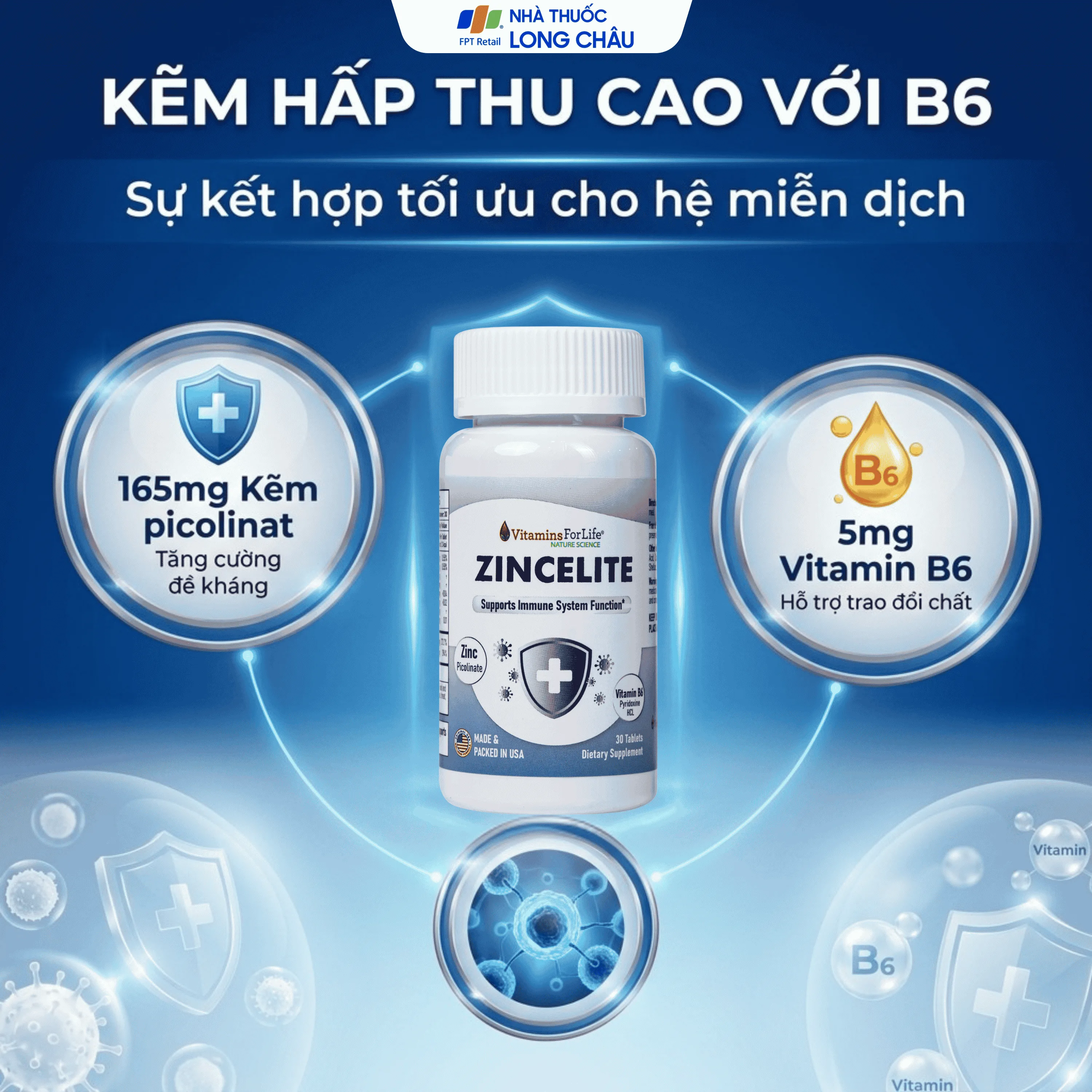 Hình ảnh Viên uống hỗ trợ cải thiện sức đề kháng cho cơ thể ZINCELITE Vitamins For Life (Hộp 30 viên)