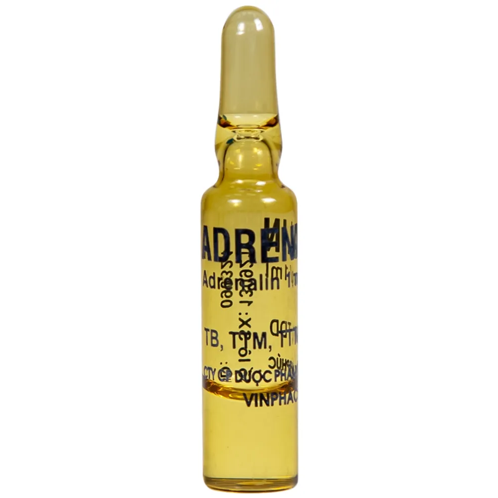 Hình ảnh Dung dịch tiêm Adrenalin 1mg/1ml hồi sức tim phổi, cấp cứu choáng phản vệ (5 vỉ x 10 ống)