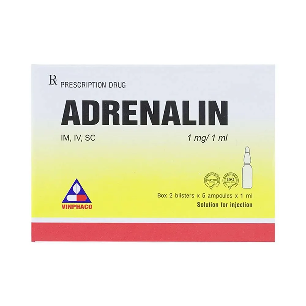 Hình ảnh Dung dịch tiêm Adrenalin 1mg/1ml hồi sức tim phổi, cấp cứu choáng phản vệ (2 vỉ x 5 ống)