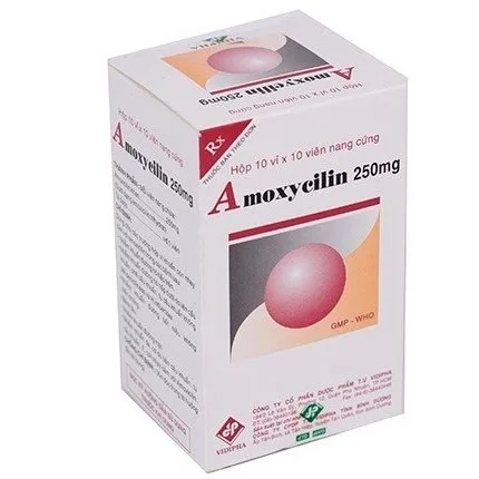 Hình ảnh Thuốc Amoxycilin 250mg Vidipha điều trị nhiễm khuẩn (10 vỉ x 10 viên)