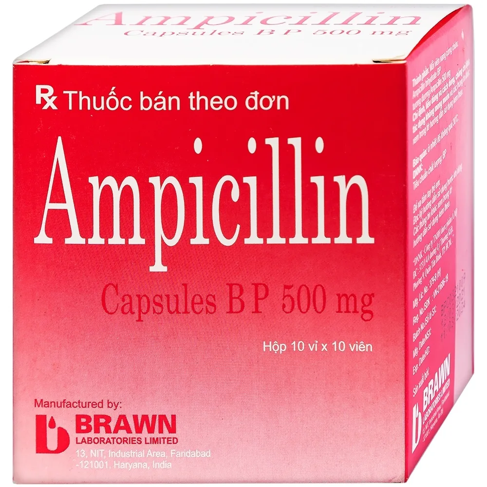 Hình ảnh Thuốc Ampicillin Capsules BP 500mg Brawn điều trị nhiễm khuẩn (10 vỉ x 10 viên)