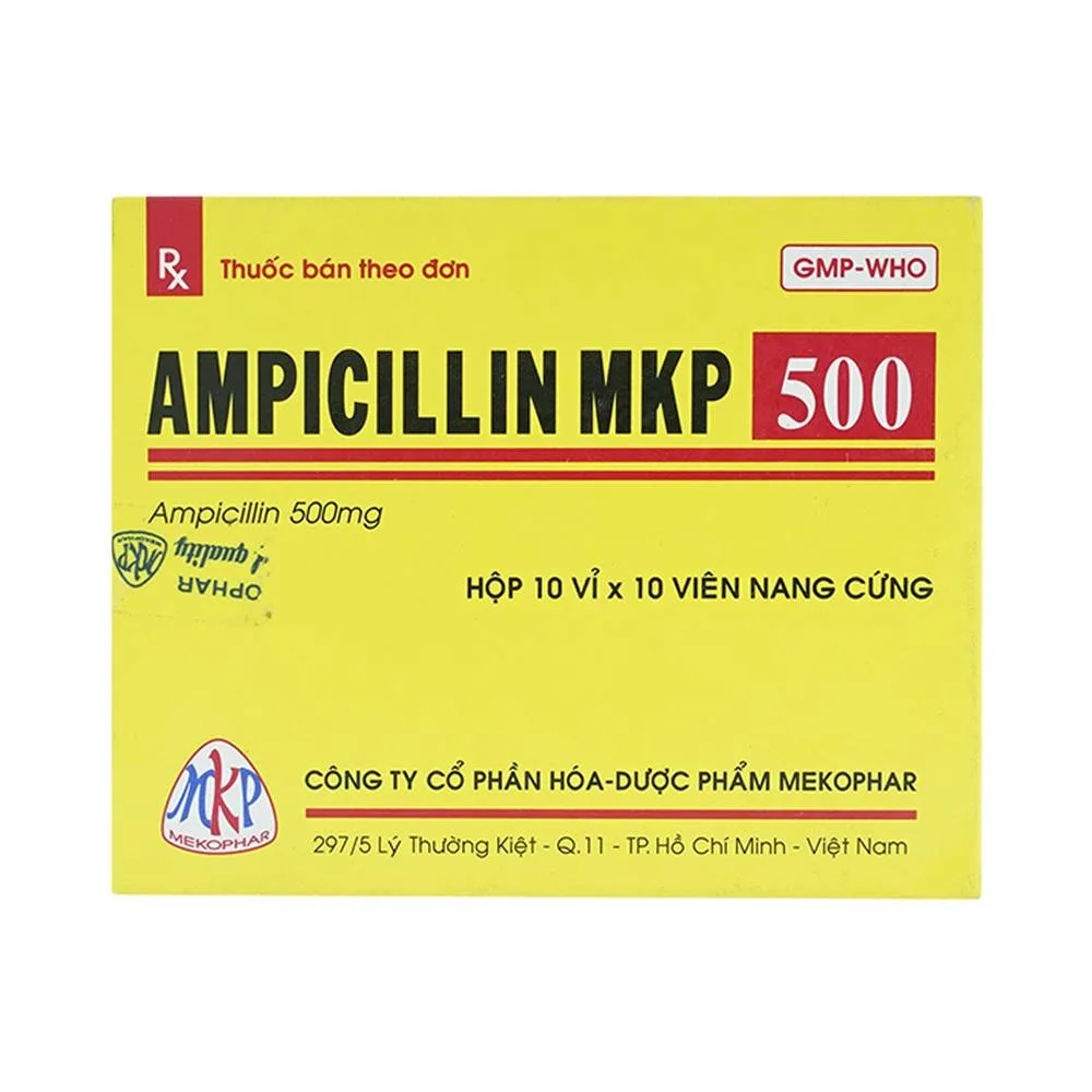 Hình ảnh Thuốc Ampicillin MKP 500 Mekophar điều trị nhiễm khuẩn (10 vỉ x 10 viên)
