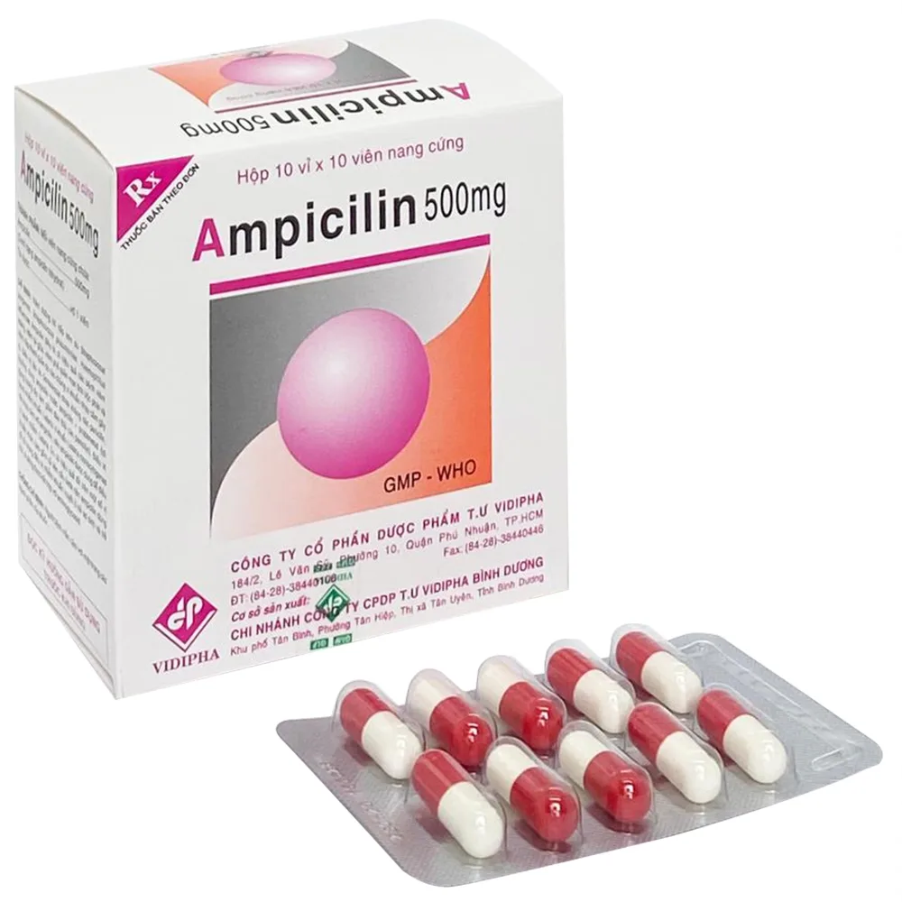 Hình ảnh Thuốc Ampicilin 500mg Vidipha điều trị nhiễm khuẩn (10 vỉ x 10 viên)