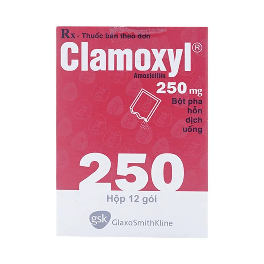 Hình ảnh Bột pha hỗn dịch uống Clamoxyl 250mg GSK điều trị nhiễm khuẩn (12 gói)