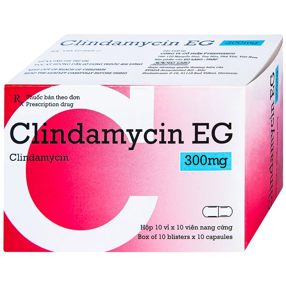 Hình ảnh Thuốc Clindamycin EG 300mg Pymepharco điều trị các bệnh nhiễm khuẩn (10 vỉ x 10 viên)