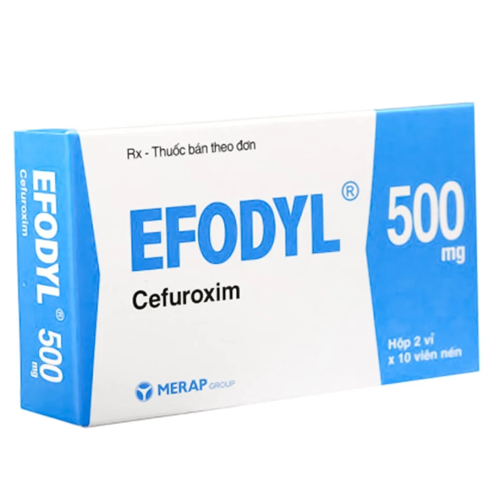 Hình ảnh Thuốc Efodyl 500mg điều trị nhiễm khuẩn đường (2 vỉ x 10 viên)