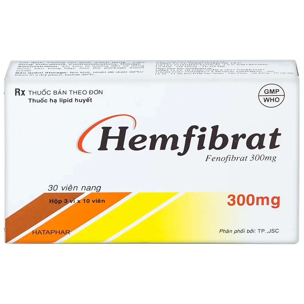 Hình ảnh Thuốc Hemfibrat 300mg Hà Tây điều trị chứng tăng cholesterol máu (3 vỉ x 10 viên)