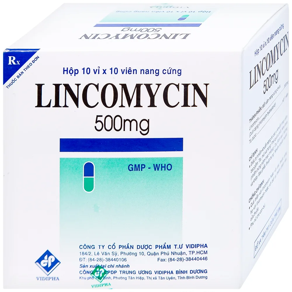 Hình ảnh Thuốc Lincomycin 500mg Vidipha điều trị nhiễm khuẩn tai mũi họng, phế quản, phổi (10 vỉ x 10 viên)