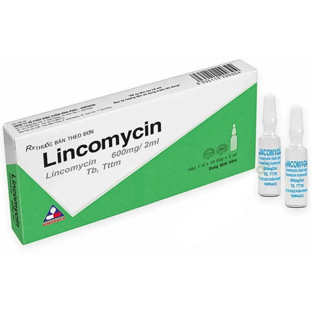 Hình ảnh Thuốc Lincomycin 600mg/2ml Siu Guan Chem điều trị nhiễm khuẩn đường hô hấp, da, mô mềm (10 ống)