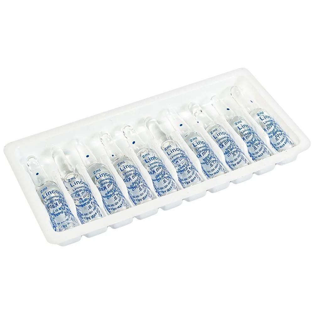 Hình ảnh Thuốc tiêm Lincomycin Kabi điều trị nhiễm khuẩn nặng (50 ống x 2ml)