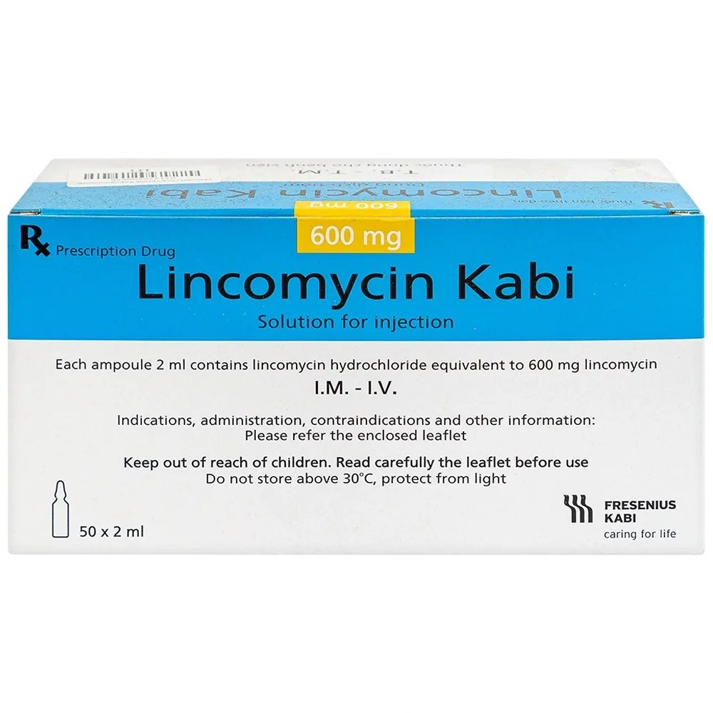 Hình ảnh Thuốc tiêm Lincomycin Kabi điều trị nhiễm khuẩn nặng (50 ống x 2ml)