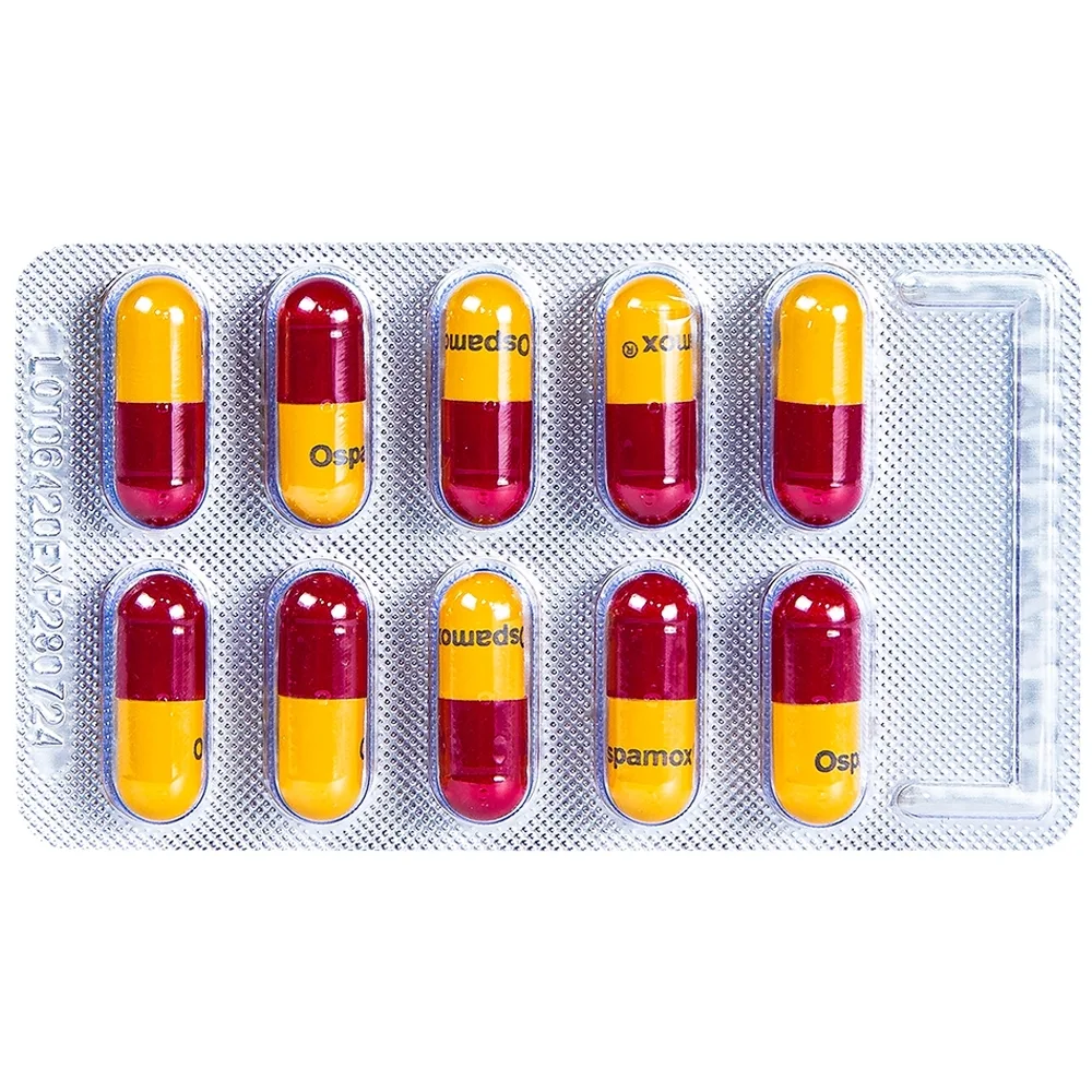 Hình ảnh Thuốc Ospamox 500mg Imexpharm điều trị nhiễm trùng đường hô hấp, viêm phế quản (100 vỉ x 10 viên)