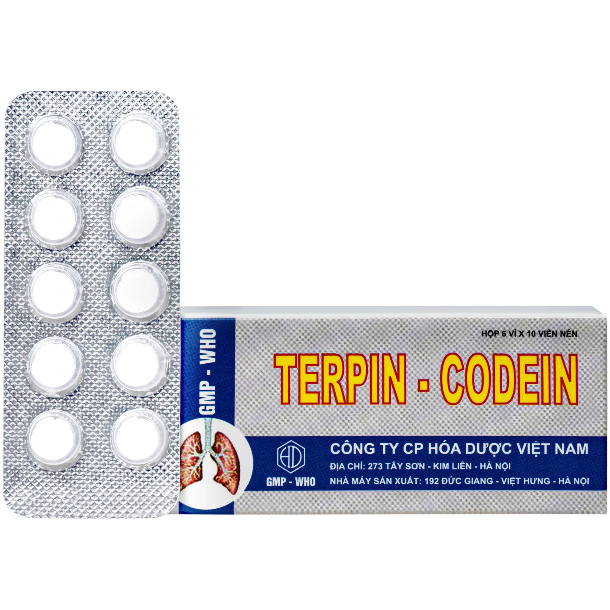 Hình ảnh Thuốc Terpin-codein Hóa Dược điều trị giảm ho, long đờm hiệu quả (6 vỉ x 10 viên)