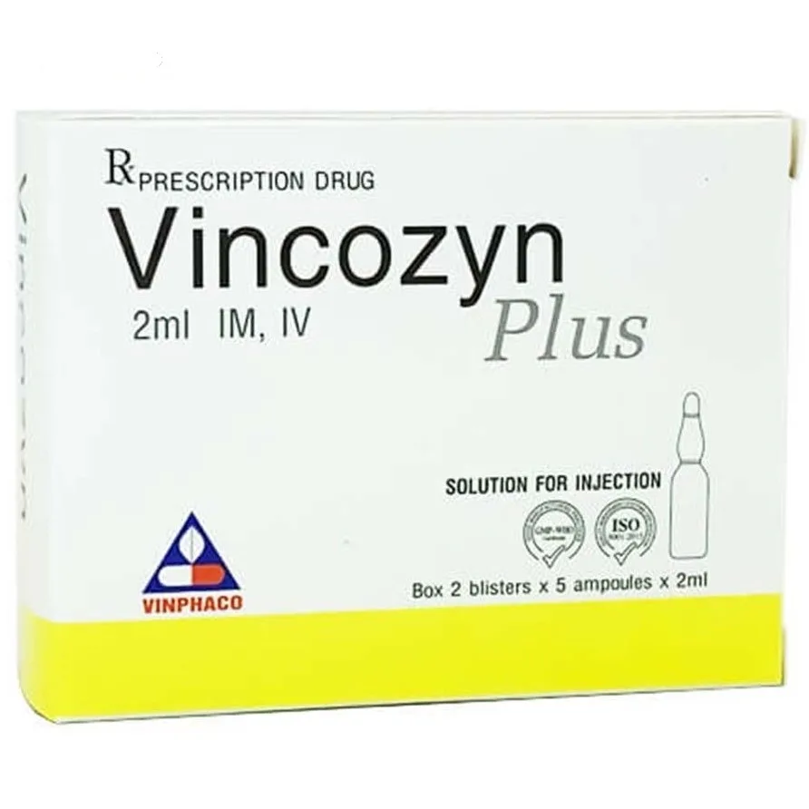 Hình ảnh Dung dịch Vincozyn Plus Vinphaco phòng ngừa và điều trị các bệnh thiếu Vitamin B (2 vỉ x 5 ống x 2ml)