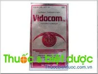 Hình ảnh Vidocom