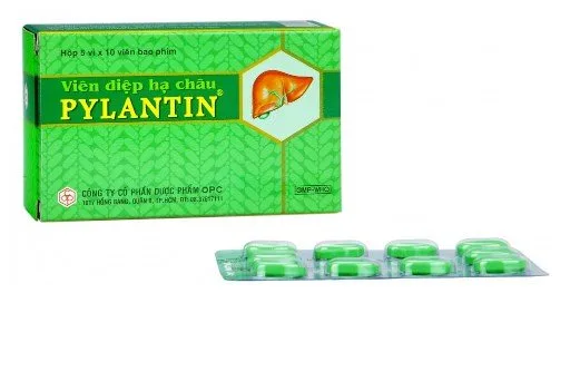 Hình ảnh Viên Diệp Hạ Châu PYLANTIN