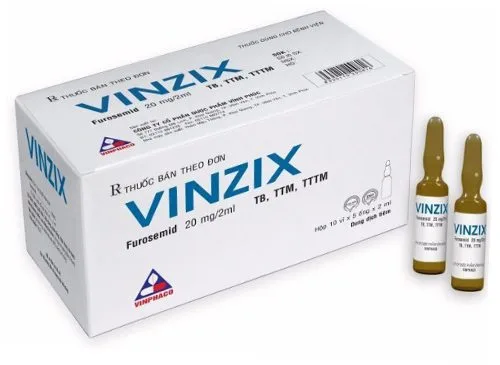 Hình ảnh Vinzix