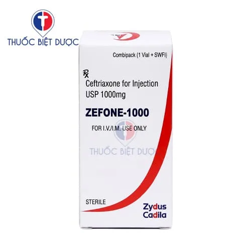 Hình ảnh Zefone-1000