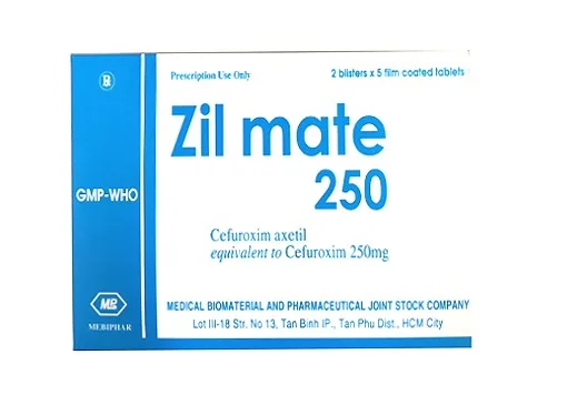 Hình ảnh Zil Mate 250