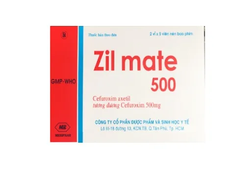 Hình ảnh Zil Mate 500