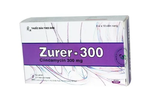 Hình ảnh Zurer-300